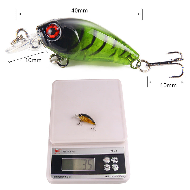 XY-50 Crank Lures – Hard Plastic Fishing Lure for Bass – Bulk Wholesale