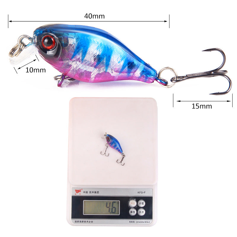 XY-240 Crank Lures – Hard Plastic Fishing Lure for Bass – Bulk Wholesale