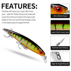 DW1199 Minnow Lures – Swimming Bait for Freshwater and Saltwater – Bulk