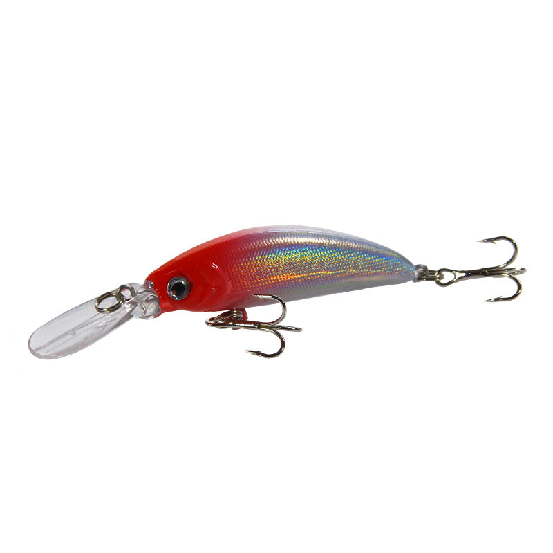 XY-58 Minnow Lures – Swimming Bait for Freshwater and Saltwater – Bulk